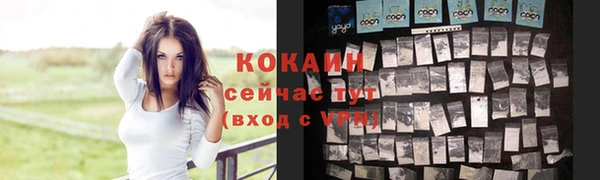 спайс Аркадак
